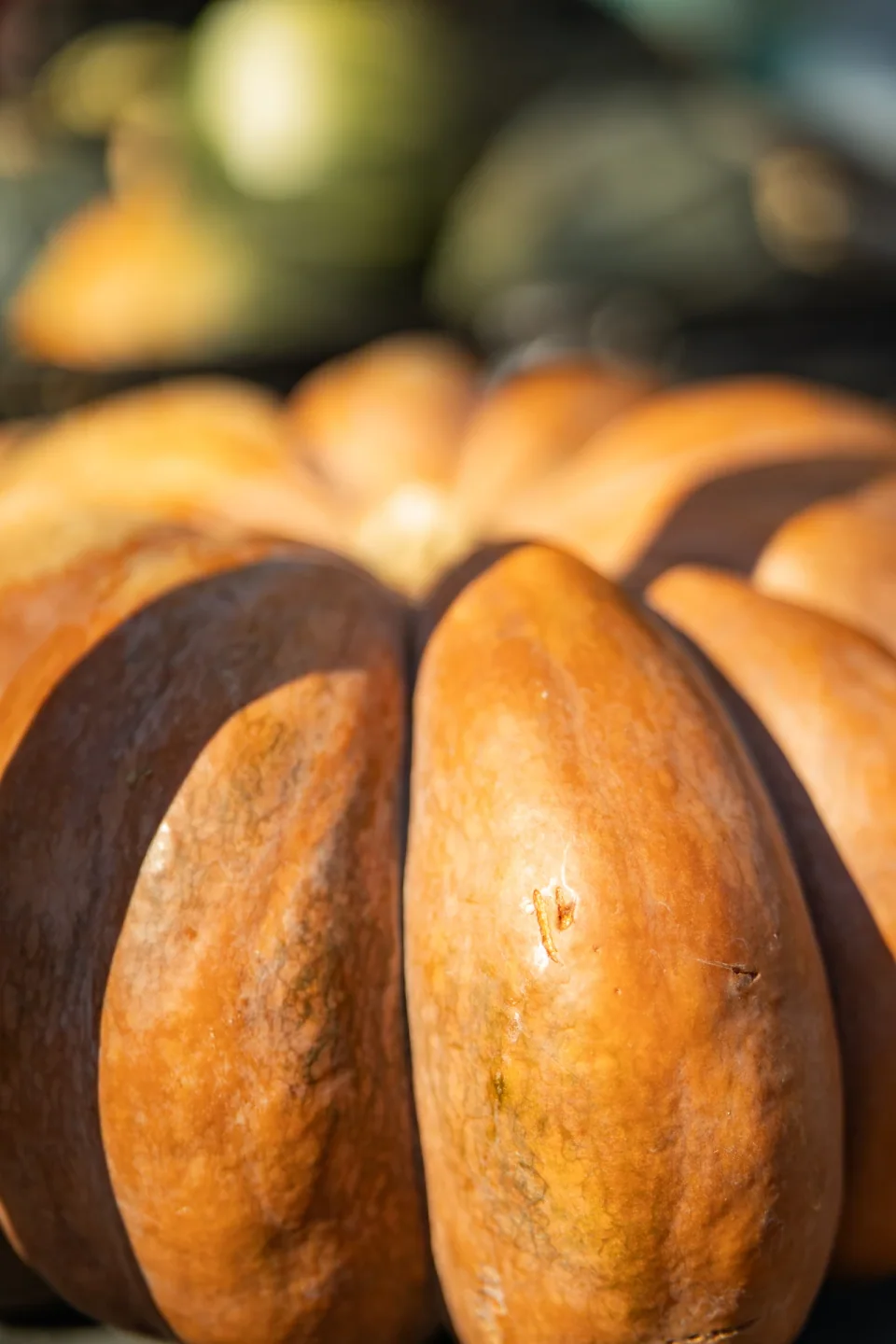 Close-up of an orange ribbed pumpkin in warm sunlight