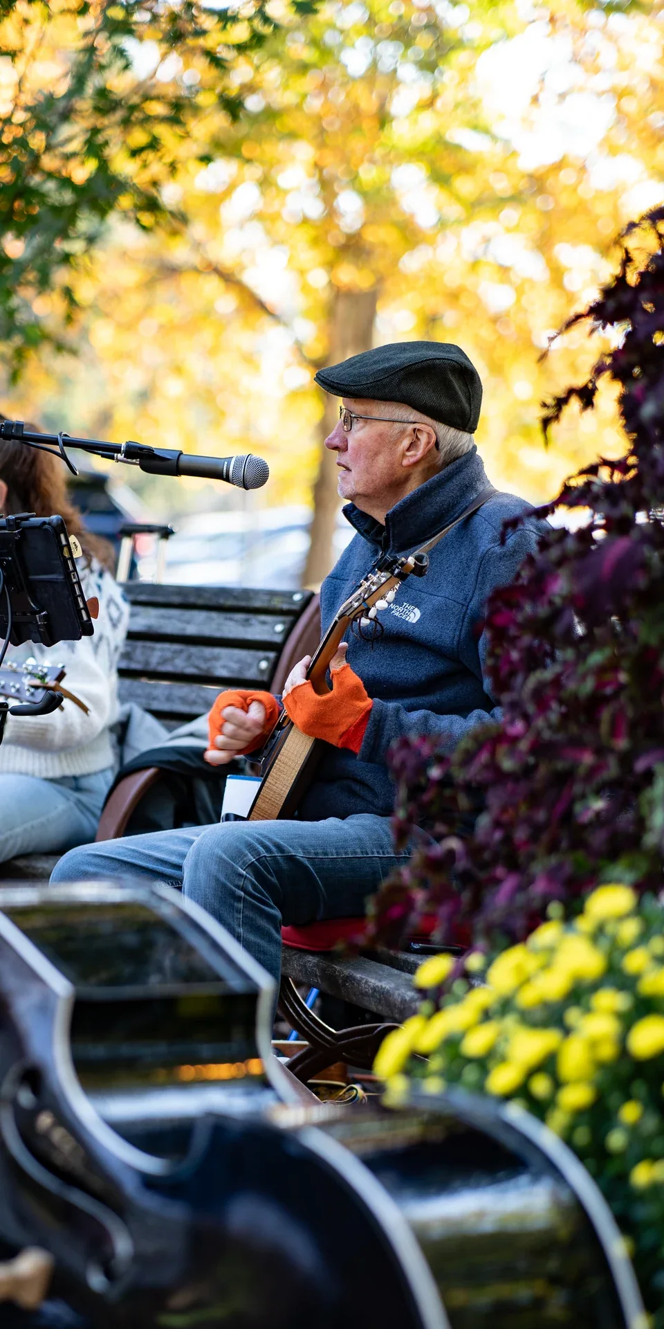A seated musician playing a stringed instrument beneath yellow leaves
