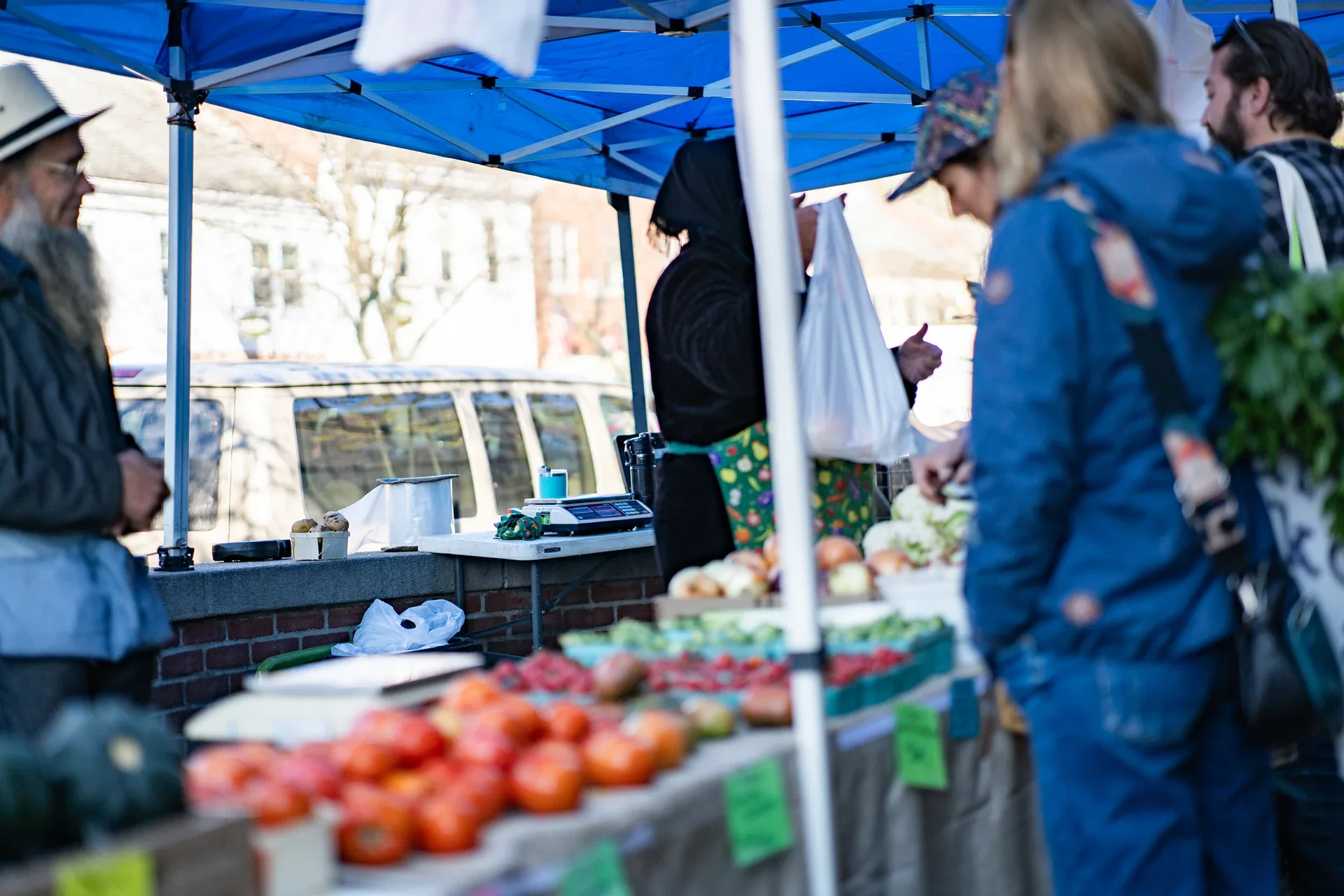 Tomatoes and other produce displayed beneath a blue market tent